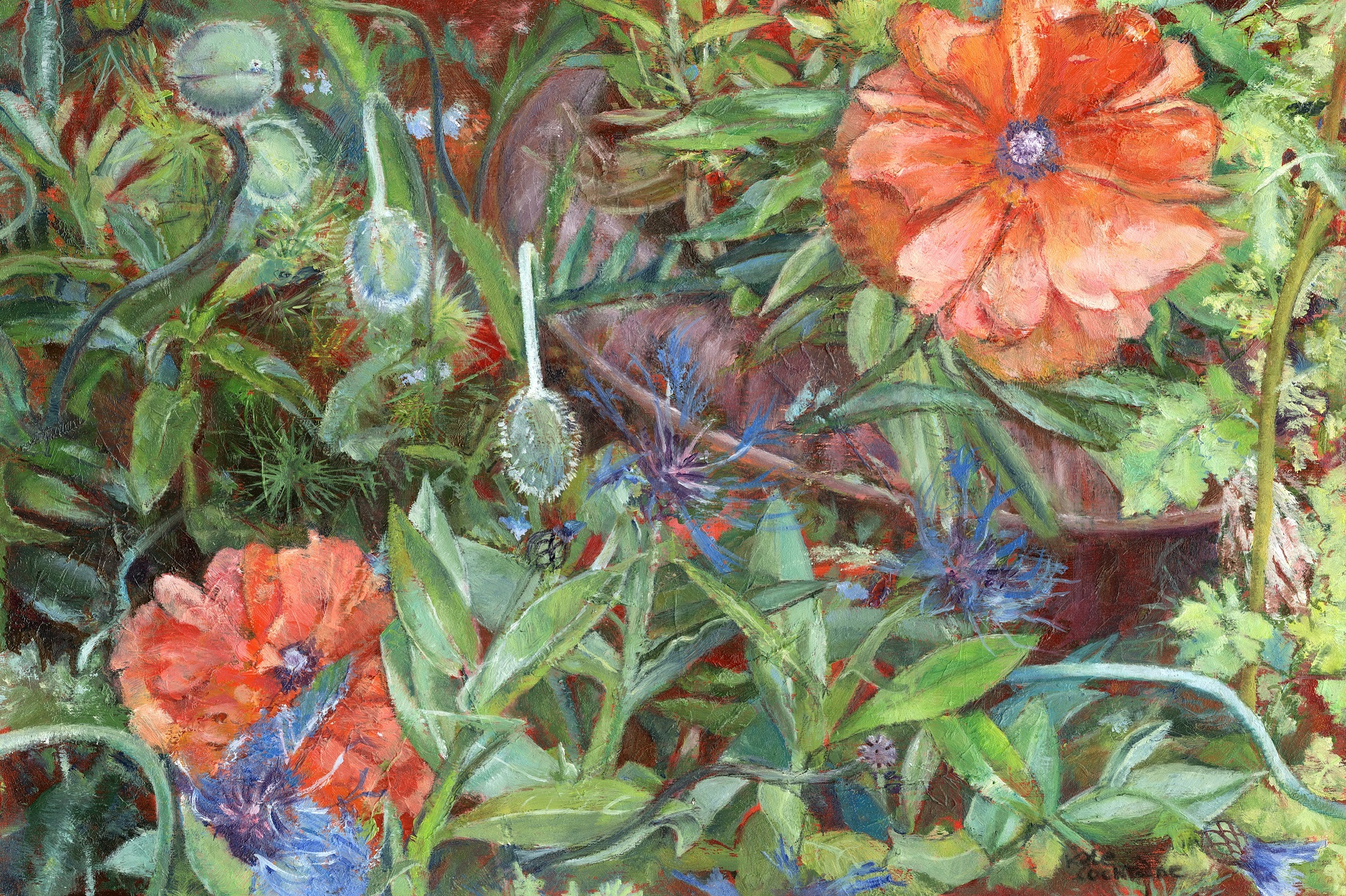 Keyford-Poppies-Kate-Cochrane Keyford-Poppies-Kate-Cochrane