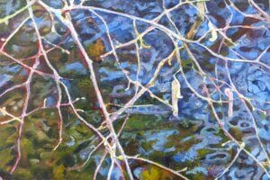 Mid-March at Umborne Brook