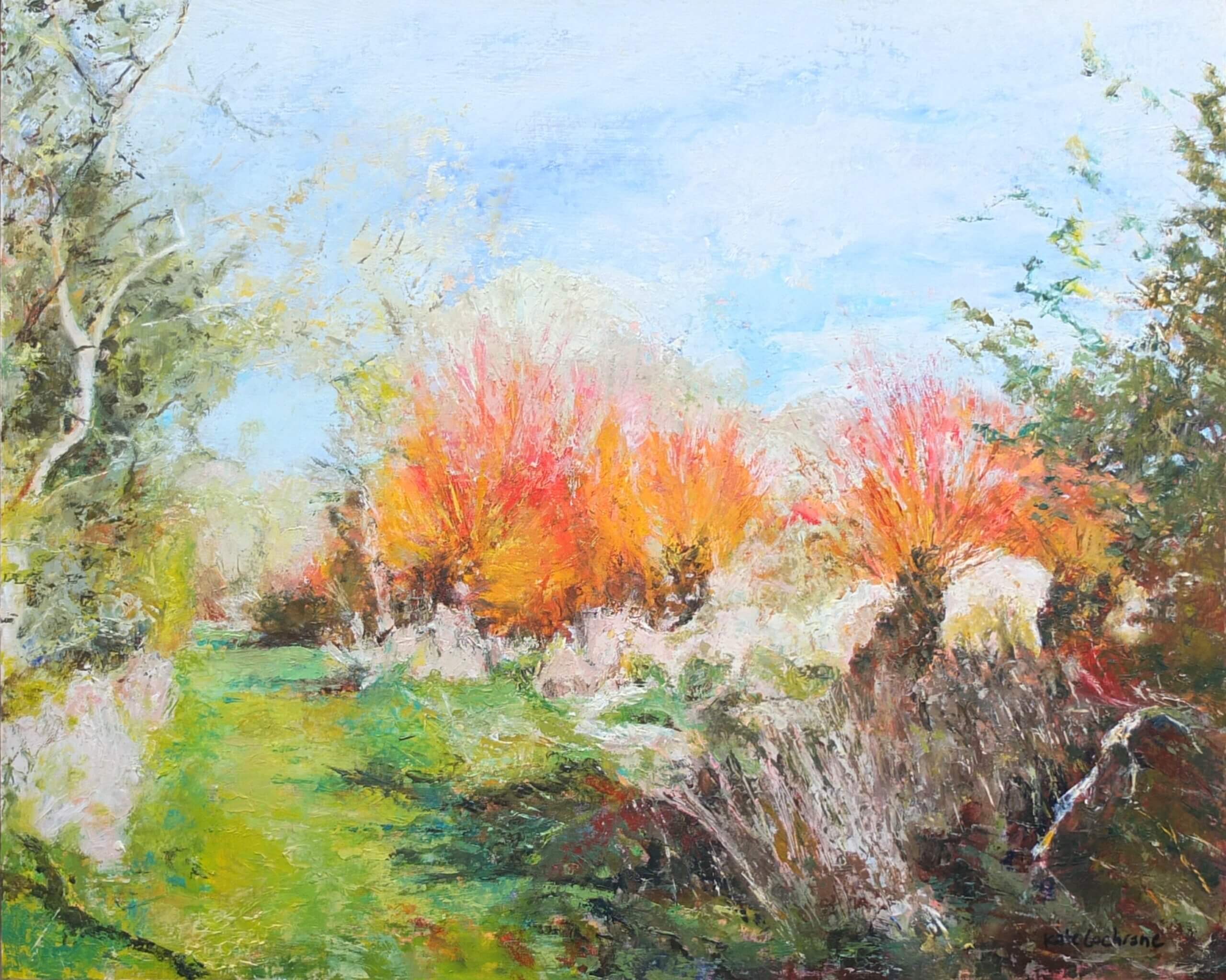 Pollard Scarlet Willows