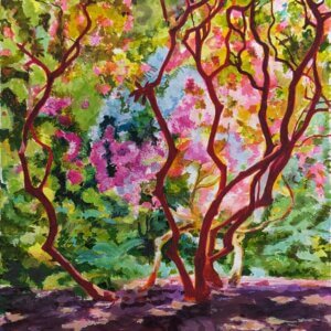 Sunlight on Azaleas