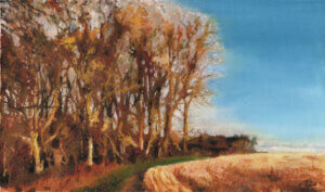 Fields near Alfred's Tower