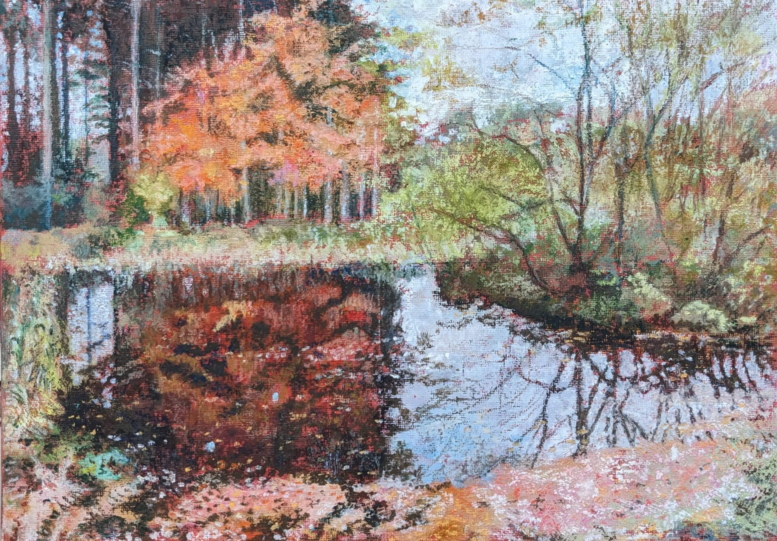 Beech Reflected